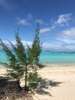 Moorea