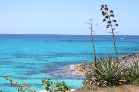 Bluvacanze Pinerolo