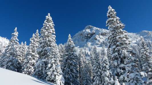 Offerte Th Resort